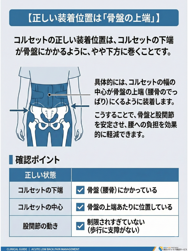 コルセットの正しい装着位置